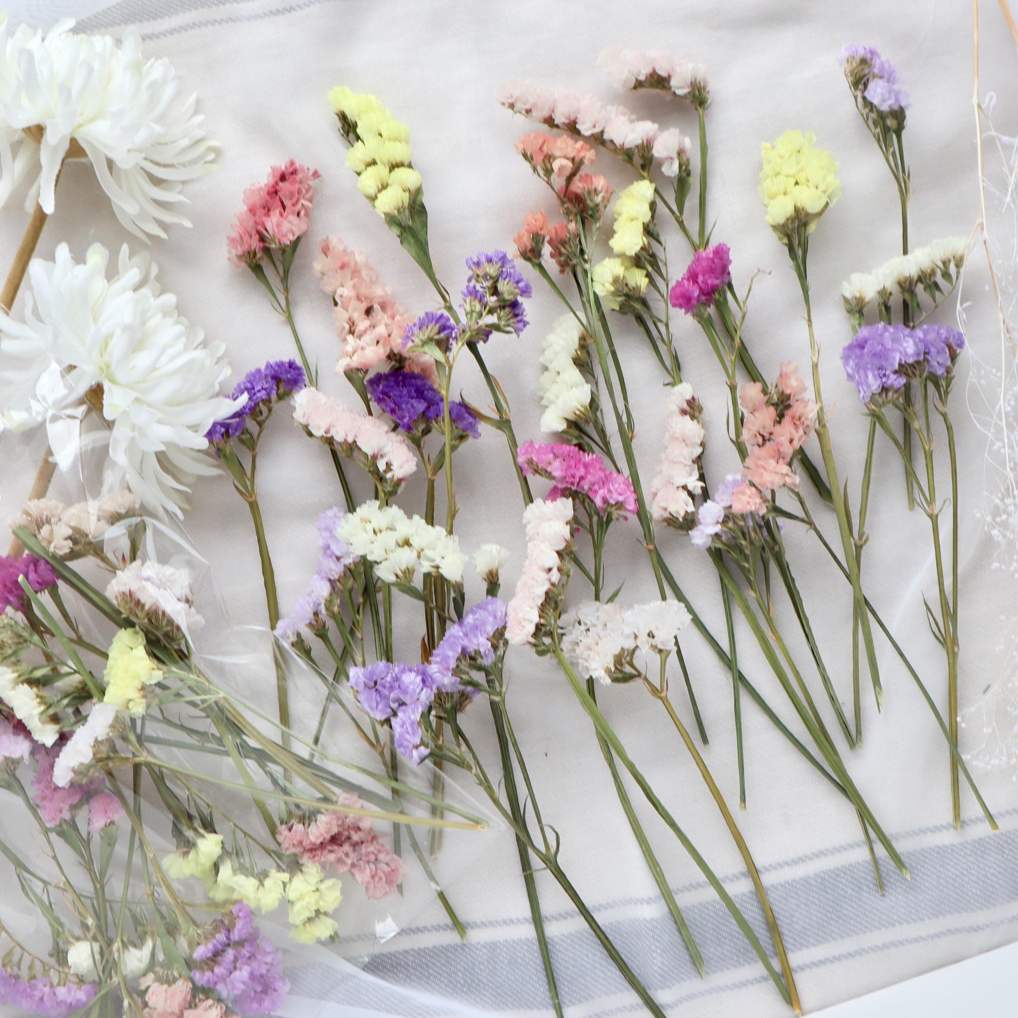 【花材】長め！カラフルスターチスのドライフラワーアソート ＊約15cm 結婚式・メニュー表・ウェルカムスペース