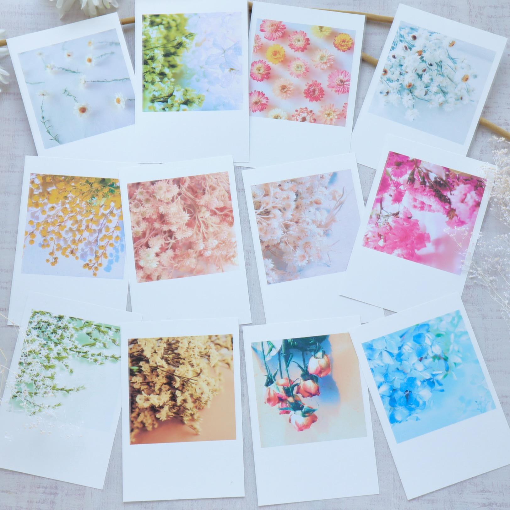 【ポストカード】ナチュラルドライフラワーポストカード１２枚セット