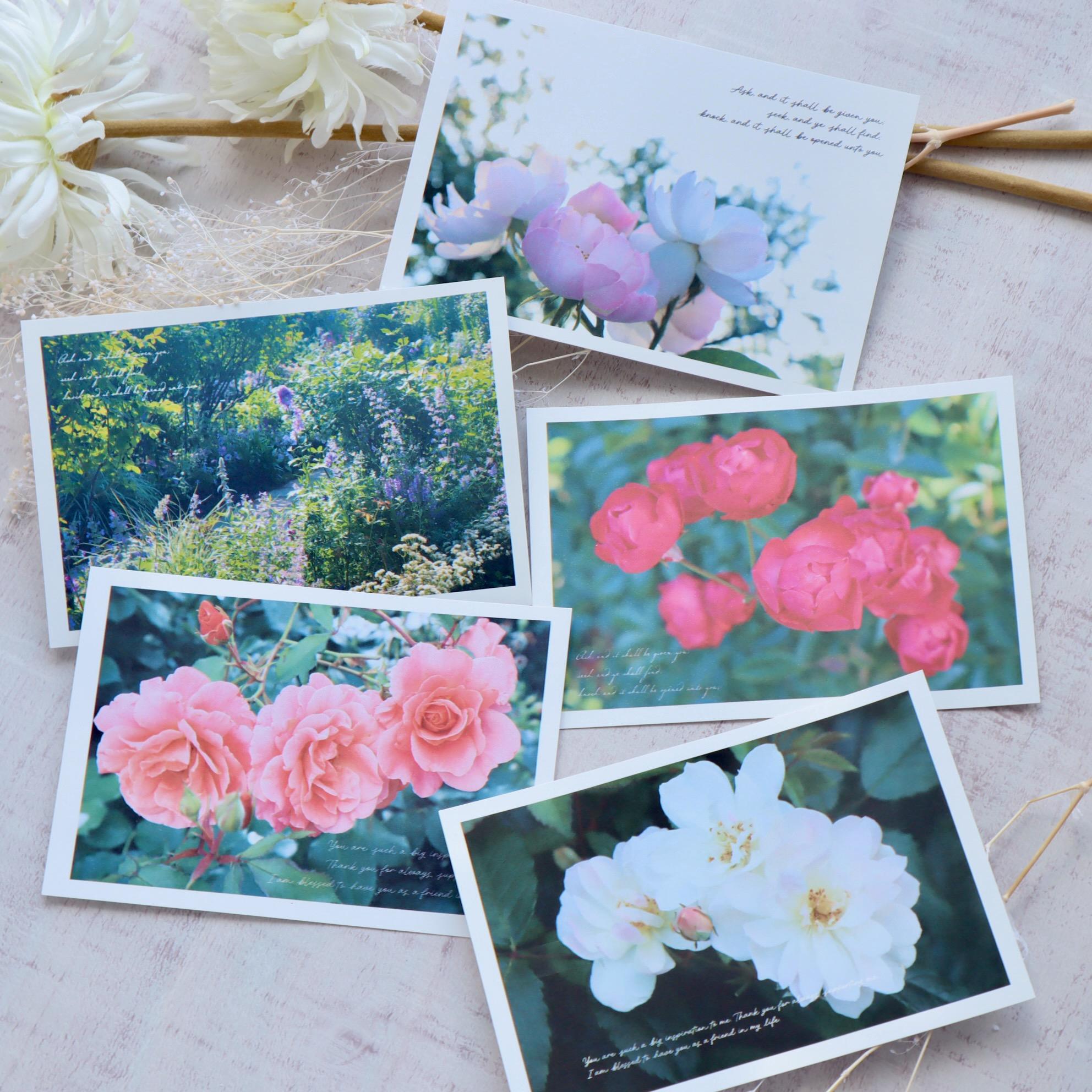 【ポストカード】「Garden of Roses」5枚セット