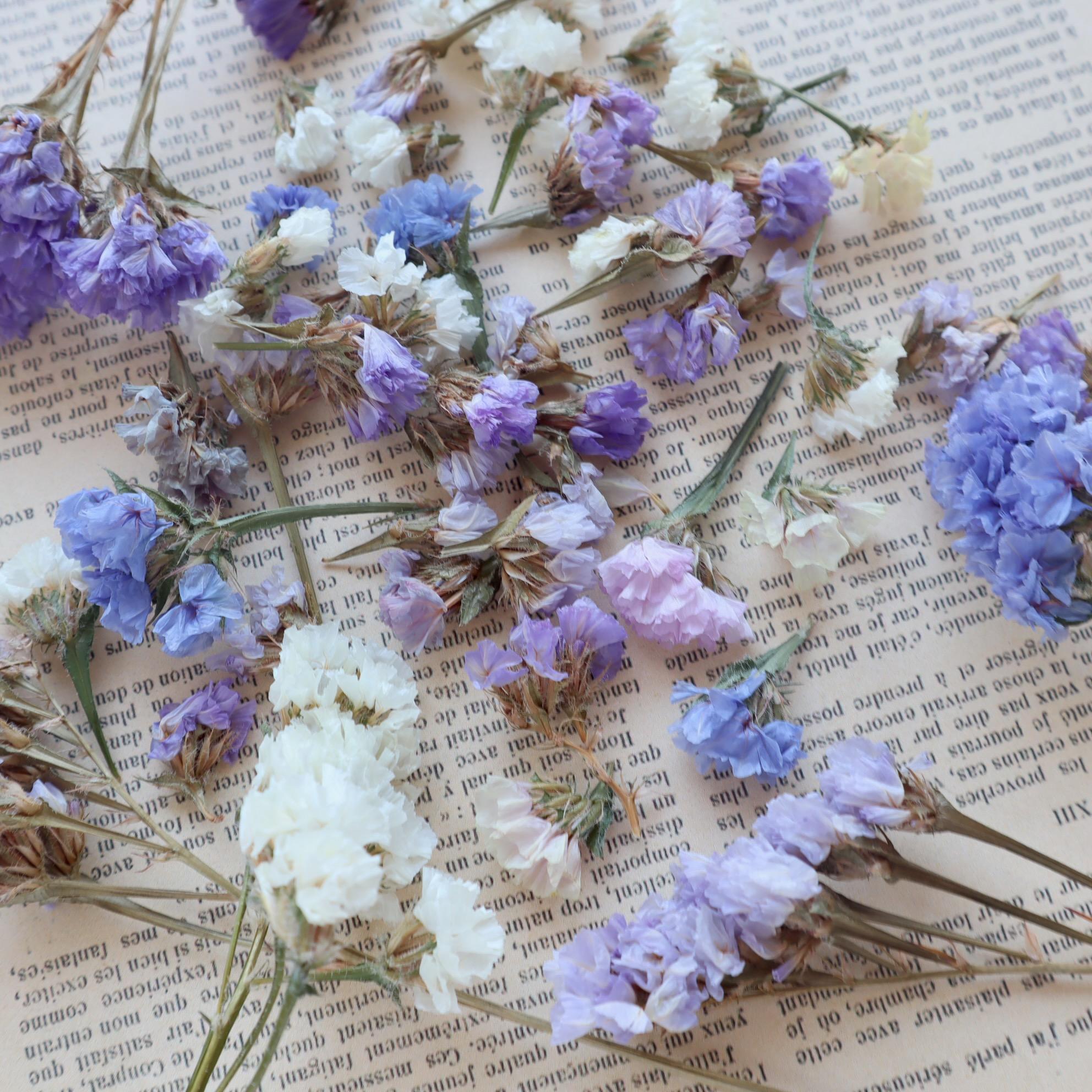 【花材】ニュアンスカラー寒色系のスターチスセット