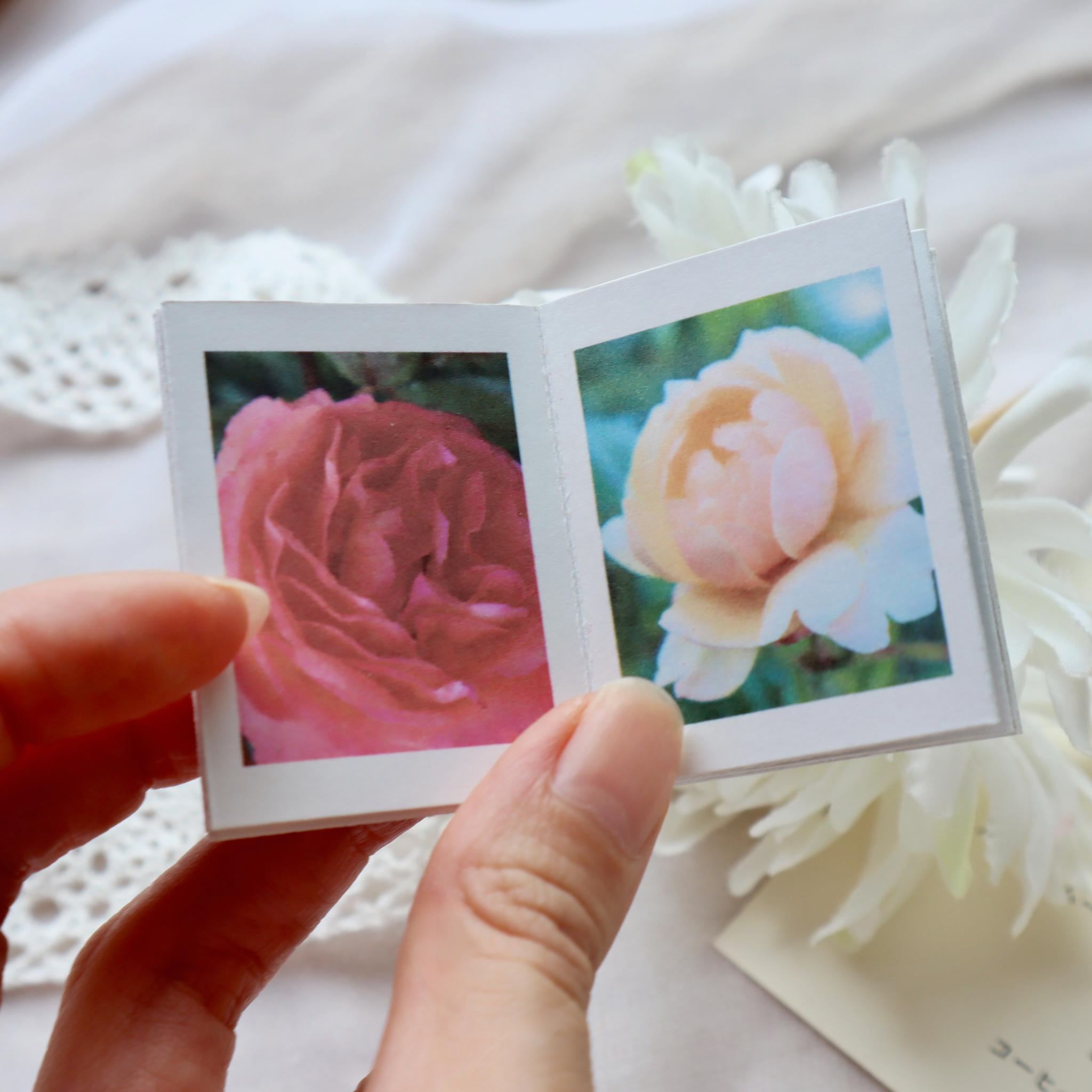 ミニチュア写真集 PETALS Issue01|手のひらサイズのフォトZINE | 5枚目