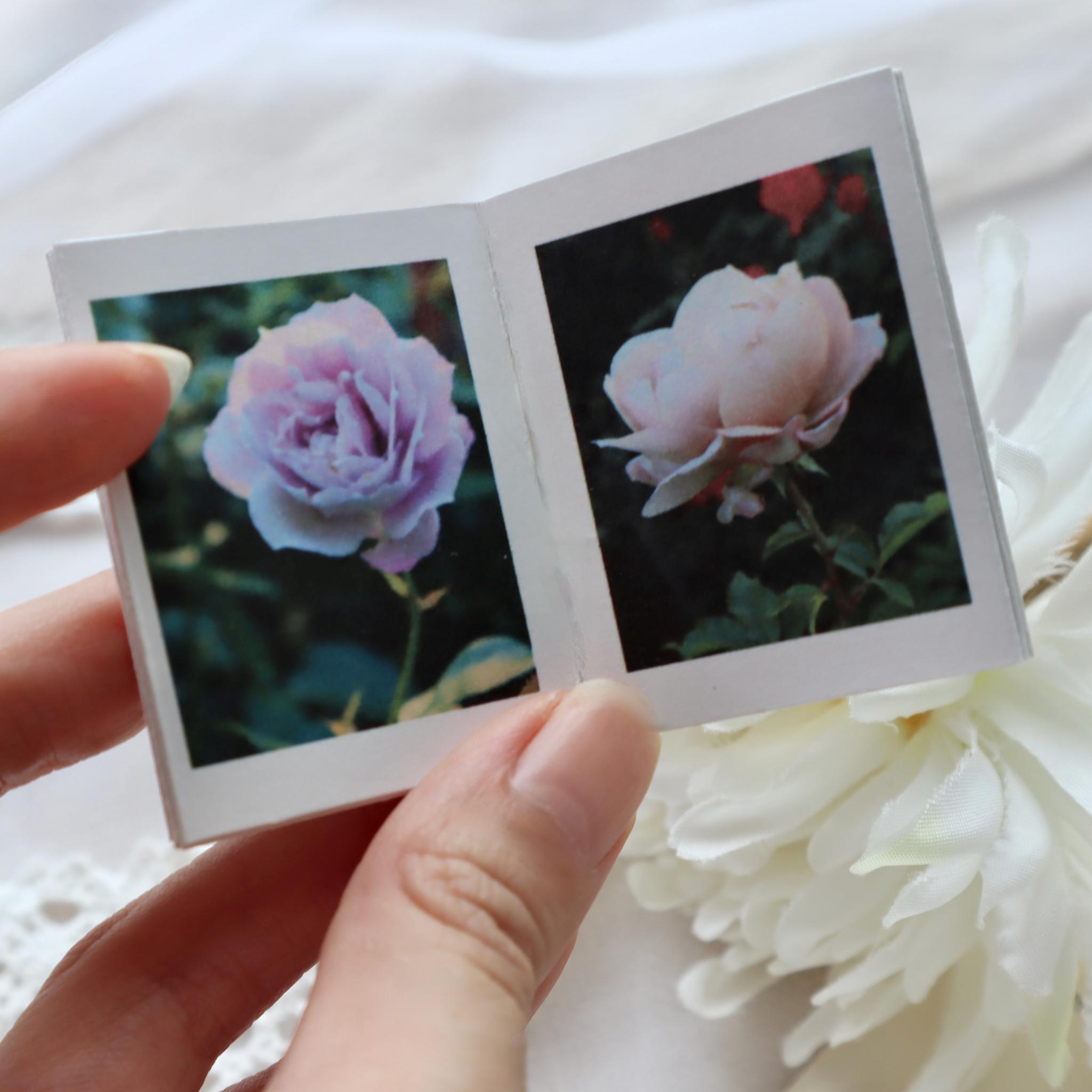 ミニチュア写真集 PETALS Issue01|手のひらサイズのフォトZINE | 6枚目