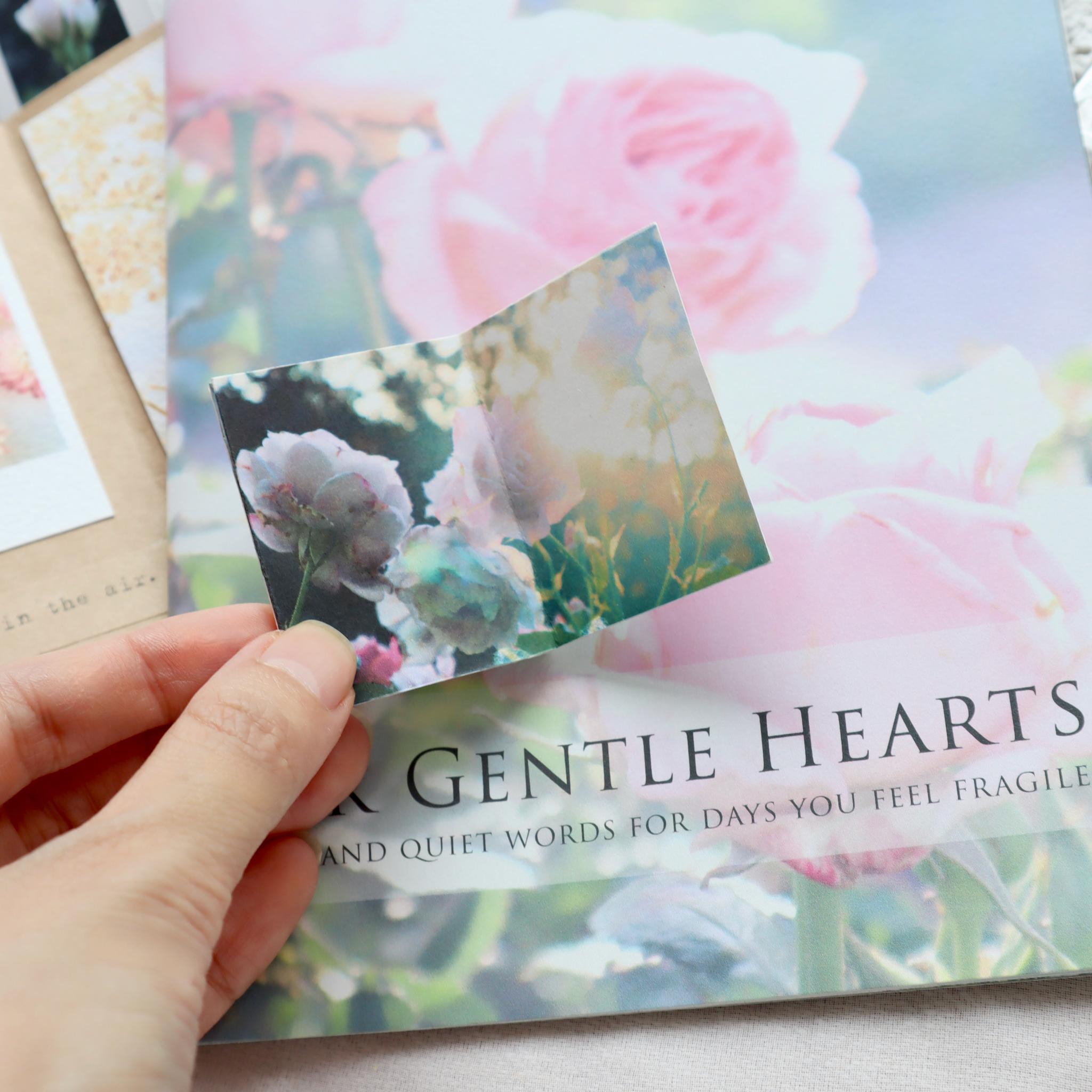 ミニチュア写真集 For Gentle Hearts|手のひらサイズのフォトZINE | 9枚目